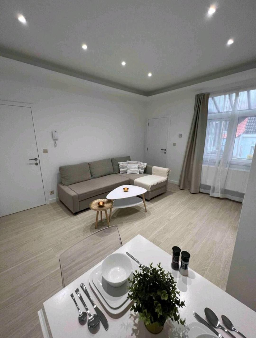 Sublime Appartement Calme Cosy & Jacuzzi 布鲁塞尔 外观 照片